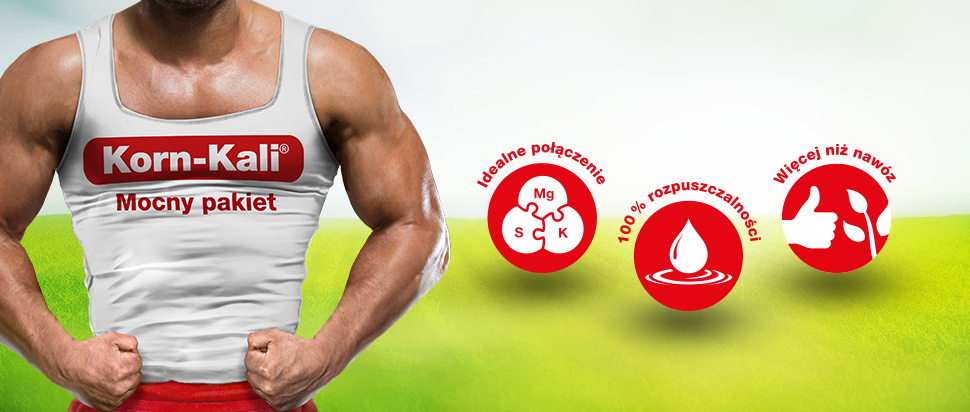 header-fertiliser-campaign-korn-kali-pl